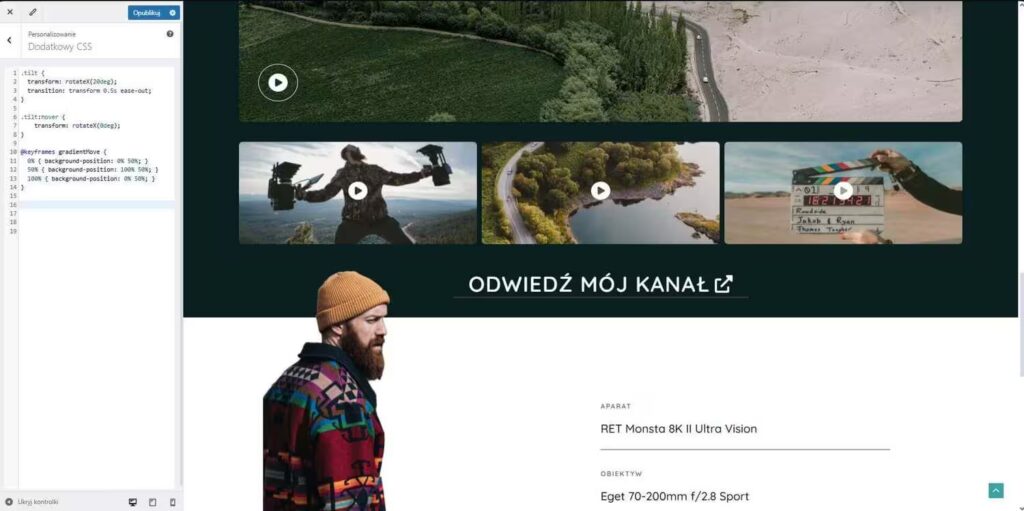 Kod CSS do animacji przycisku Blog CraftedWP