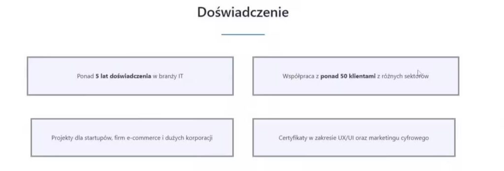 Portfolio sekcja doświadczenie Web Developer Blog CraftedWP